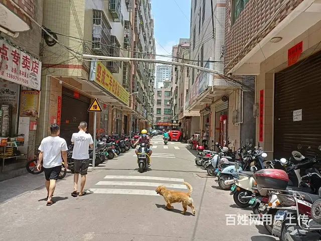 （51旺铺推荐）滨涯花园新村160平房东直租 - 图片 3
