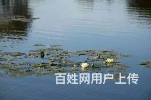 五大连池旅游包车15046980000 - 图片 1