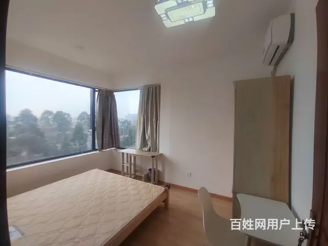 龙泉政务中心附近主卧带卫生间的单间 - 图片 1