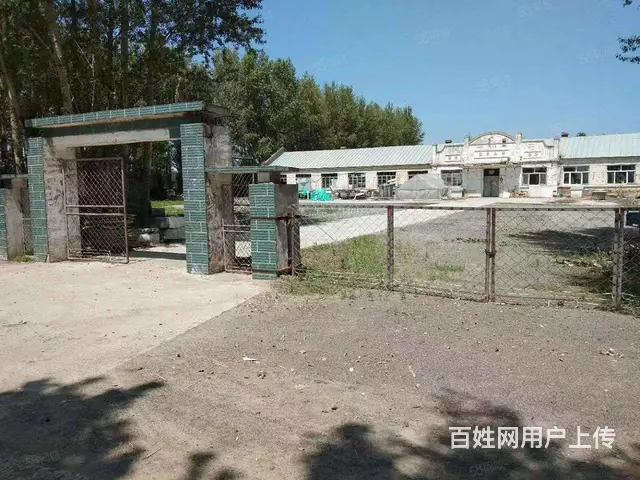 松北区万宝镇厂房场地出租 - 图片 6