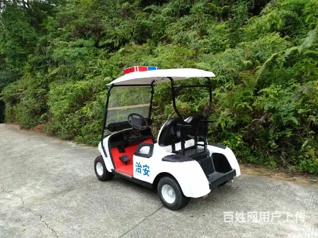 大量巡逻车，电动观光车出售 - 图片 7