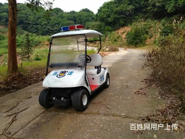 大量巡逻车，电动观光车出售 - 图片 1