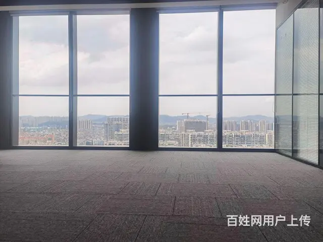 亏本卖2万5各付 金融城绿地中心 高层现楼 地铁上 - 图片 6