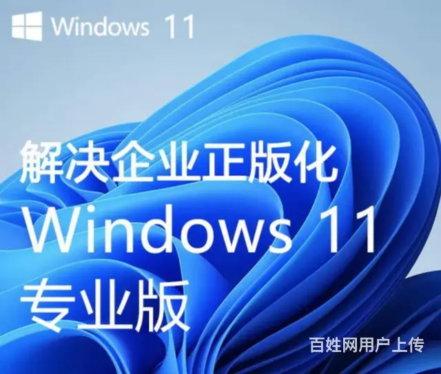 厦门windows系统-  直销-价格优惠 - 图片 1