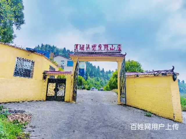 新浦新浦虾新快线农家乐转让 - 图片 5