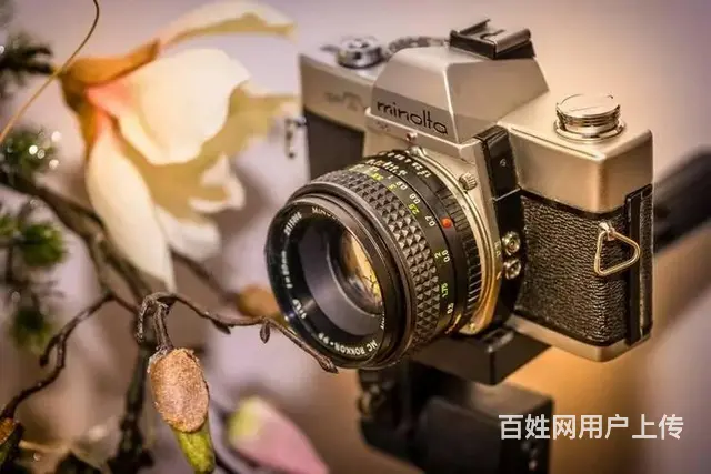 常州**拍摄常州**制作常州**剪辑 - 图片 2