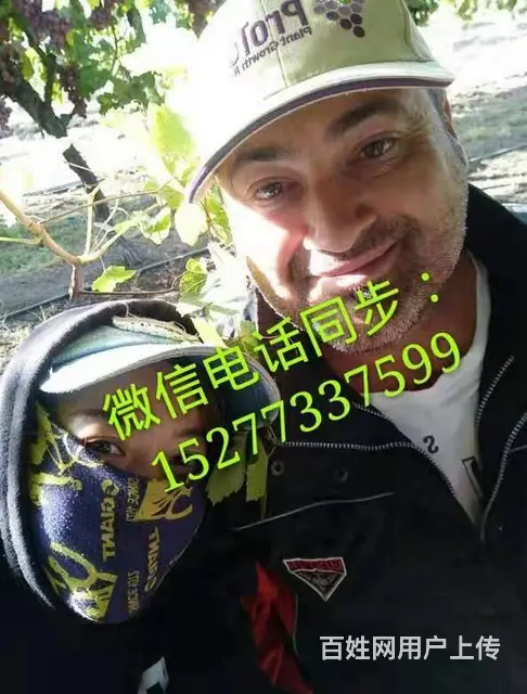 把握先择机遇/国外招工待遇丰厚 - 图片 3