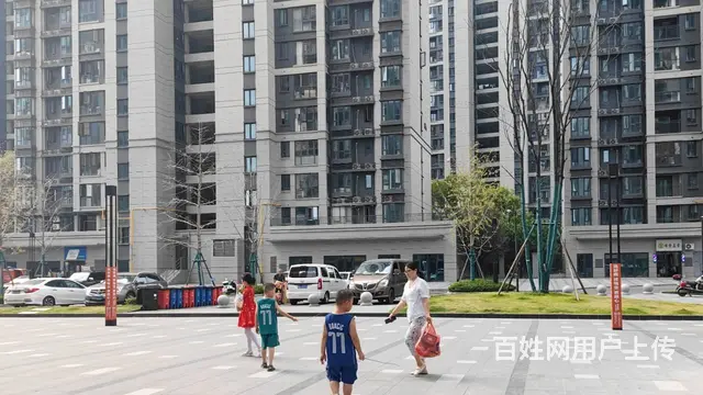 （老板本人）岳麓区繁华商业中心 映客龙湖.璟翠公馆房东直租 - 图片 4