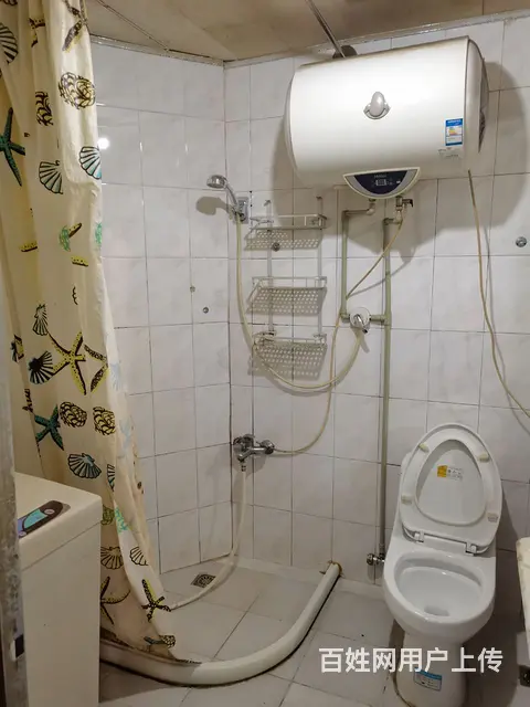 巢丰苑小区房屋整套出租 - 图片 4