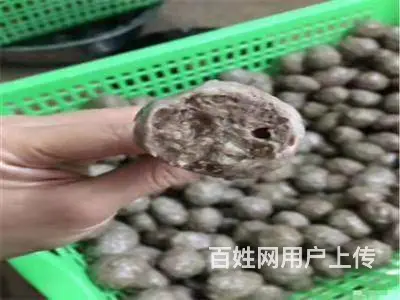 揭阳 夜豆浆营养丰富 美味健康 汕头仟味餐饮培训 - 图片 11