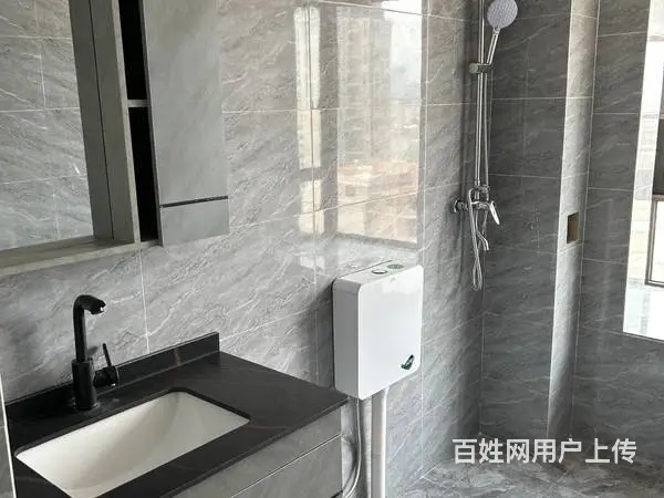 桃李郡 普通住宅2厅 精装修 - 图片 6