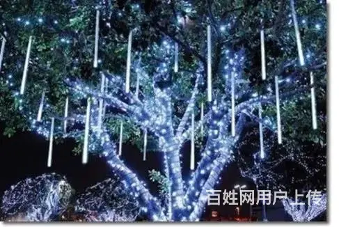 桥梁亮化，绿地景观亮化，城市路灯照明工程设计施工 - 图片 7