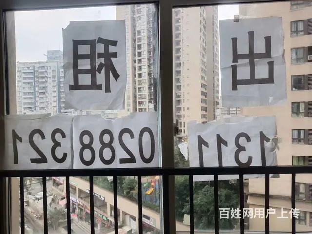 石桥铺四室一厅出租 - 图片 3