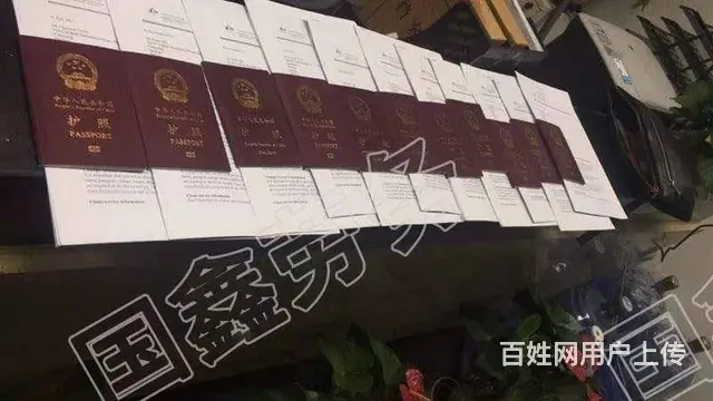 正规出国（拒签赔款）年薪30万起 - 图片 7