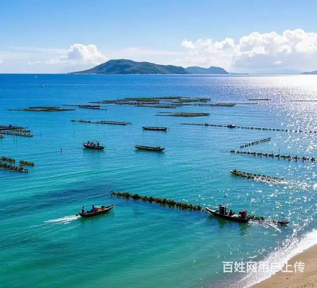【创美】烟台海阳优质养殖海域出租 - 图片 3