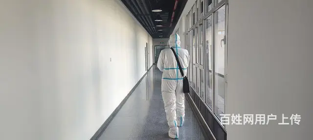 专业消杀消毒公司、灭鼠、灭蟑螂、灭蚊蝇！ - 图片 1