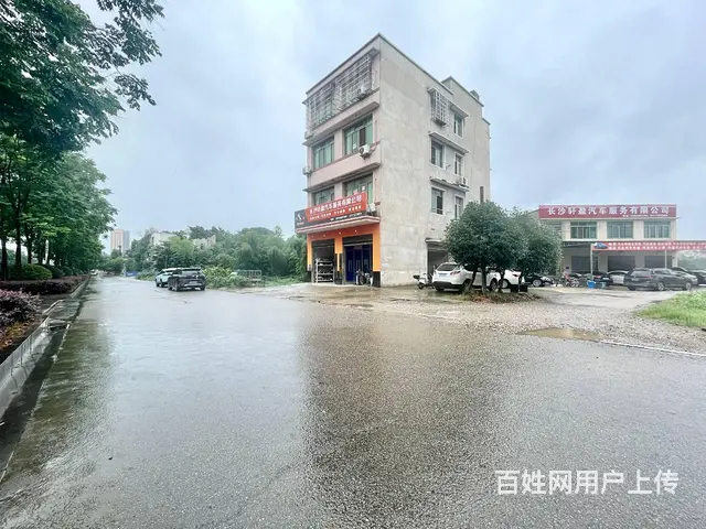 （老板本人）望城区雷锋大道临街厂房/空地房东直租6590 - 图片 4