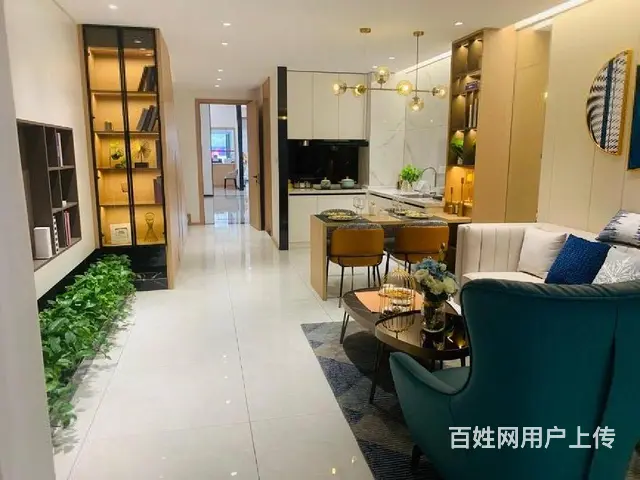 急售环球港旁复试挑高公寓单价9999起准现房民用水电落地窗 - 图片 5