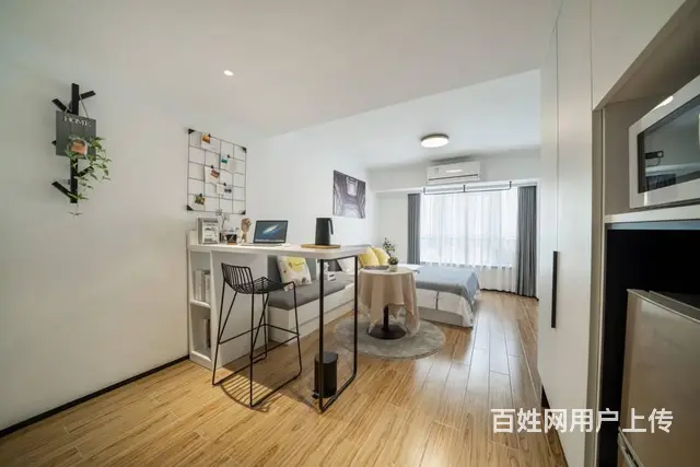 城家铱工场高端人才公寓 公寓1厅 精装修 - 图片 3