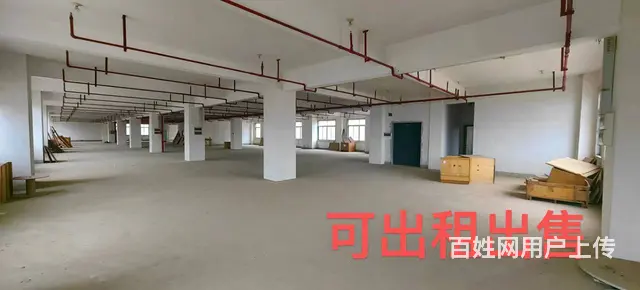 （老板本人）天心区标准园区厂房仓库办公楼招租，可出售5850 - 图片 1