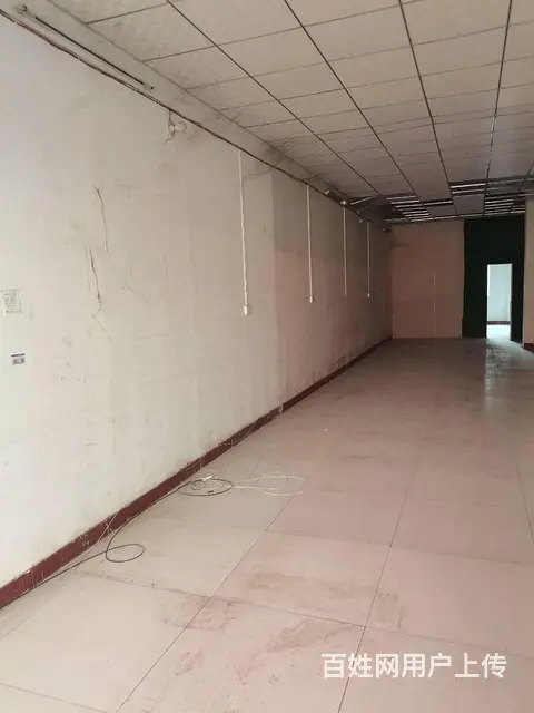 春都路副食文化园内一楼空铺急租！人流量高交通便利，生意好做， - 图片 3