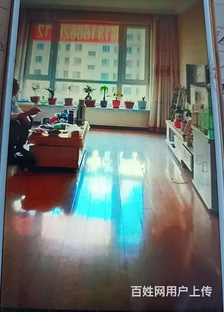 南 - 图片 1