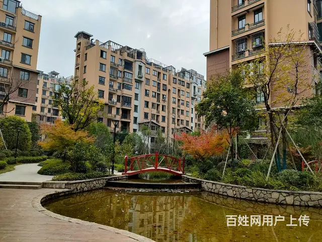 九江市（极地盛世名都）标准花园洋房（新双峰小学）阳光好. - 图片 11