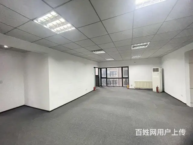 48岳家嘴大户型接待工作室 国家电网沙湖大厦 国际 - 图片 3
