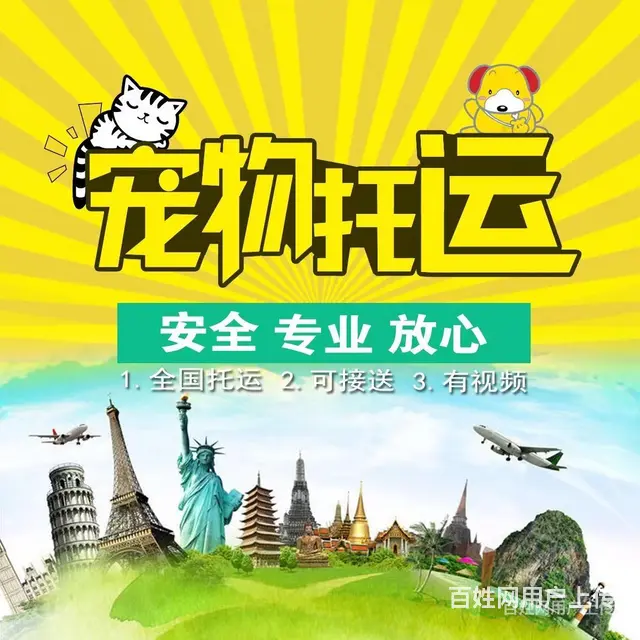 推荐） 随州宠物托运到全国）（猫狗）邮寄快递（宠物活体运输） - 图片 1