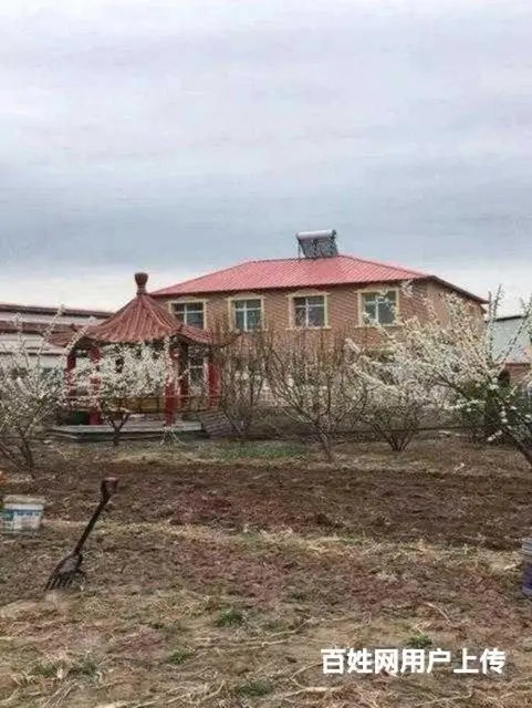 阿城舍利街厂房别墅出售 - 图片 8