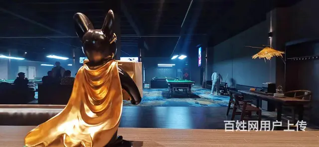 （微易转）周村东街台球棋牌室设备齐全整体转让 - 图片 5