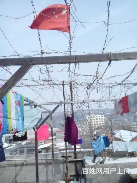 住房出租嵩县老城 - 图片 7