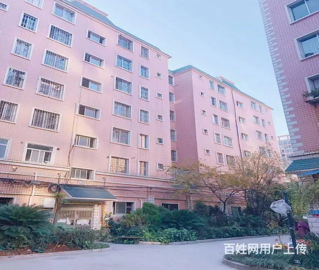城市理想旁妩景园3室2厅 精装修2楼 南北通透 周边商圈成熟 - 图片 10