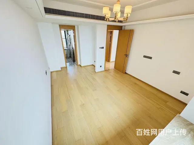 湖景豪宅 华侨城 一梯一户 超大横厅 一线湖景 可 - 图片 11