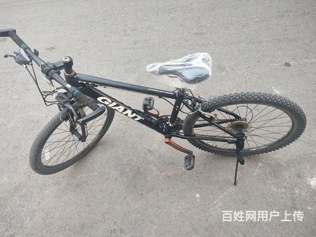 捷安特山地车 - 图片 1