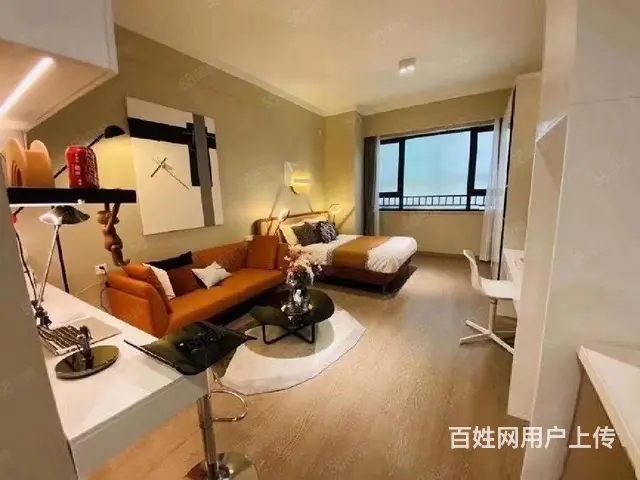 清盘特价！单价9字头 一号线口 湖塘万达旁精装公寓 - 图片 5