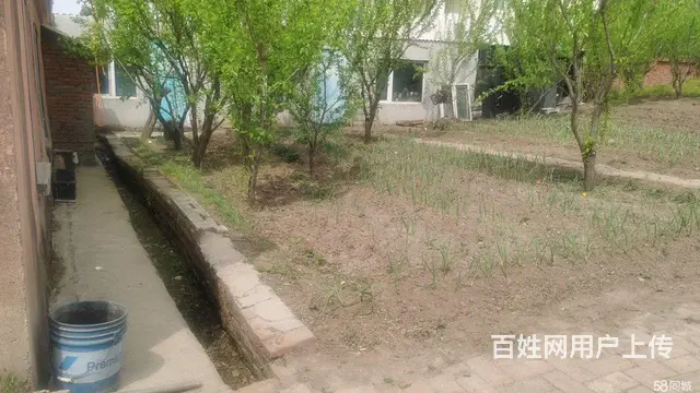 阿城红星水库沙滩浴场房屋采摘园出租 - 图片 2