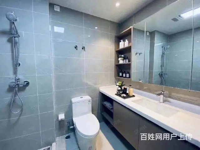 清盘特价！单价9字头 一号线口 湖塘万达旁精装公寓 - 图片 3