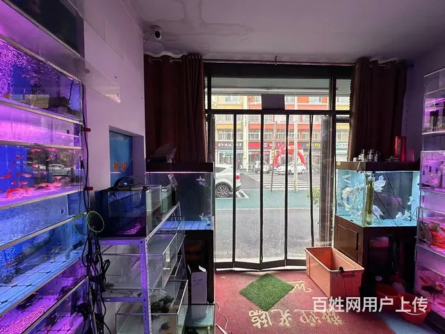 （微易转）明清街绿杉园北门商铺转让 - 图片 6