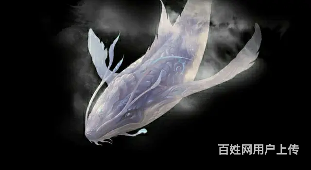 北冥有鱼 - 图片