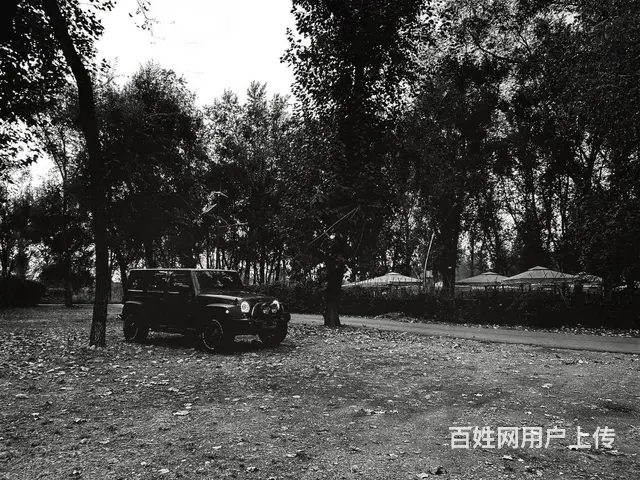 Jeep Wrangler [牧马人](进口) 2014款 - 图片 8