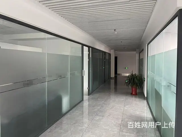 高区世昌大道田村临街旺铺460平出售 - 图片 5