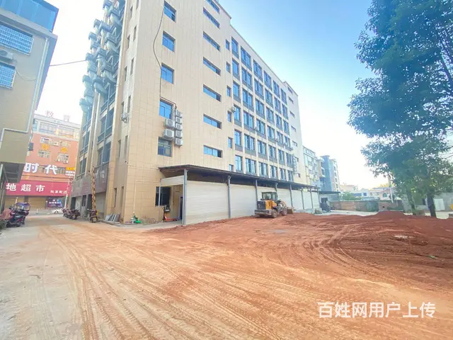 （房东直租）浏阳淳口镇大型商铺，厂房，仓库招租，可分租 - 图片 2