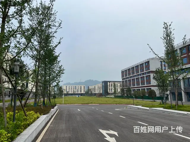 医用厂房【免租金】宿舍食堂齐全 - 图片 1