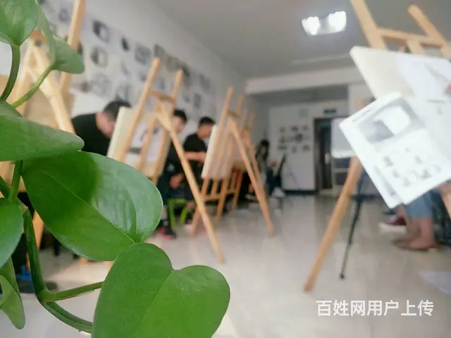 临沂美术短期辅导辅导培训班成人素描学习班 - 图片 1