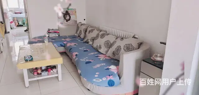 学区房出租（西秀一区） - 图片 3