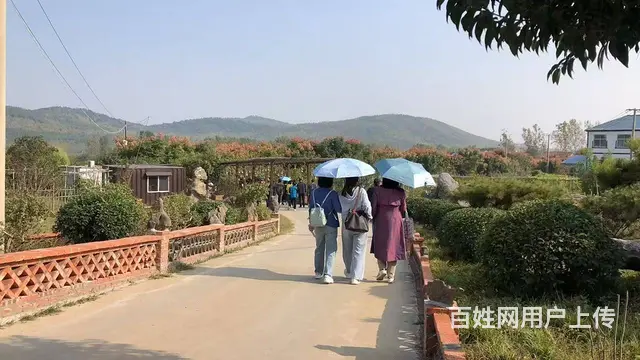 （徐州找店网）贾汪大洞山风景区农家乐生态园出租 - 图片 3