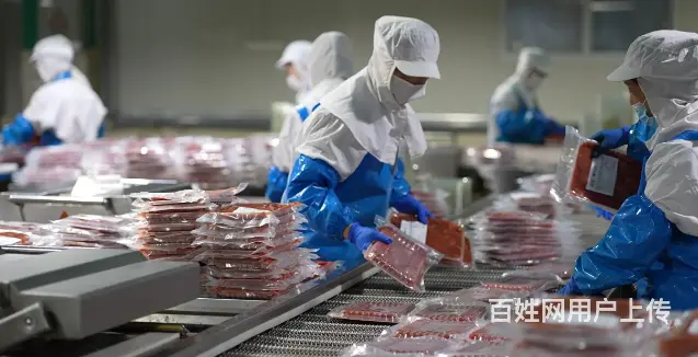 食品行业五体系认证 - 图片