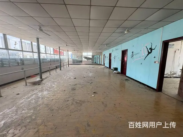 （徐州找店网）泉山区西三环边王新庄独院出租 - 图片 8