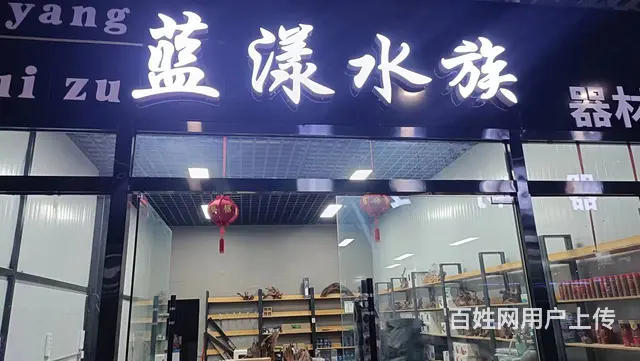 万家花博园水族馆旺铺转让 - 图片 1